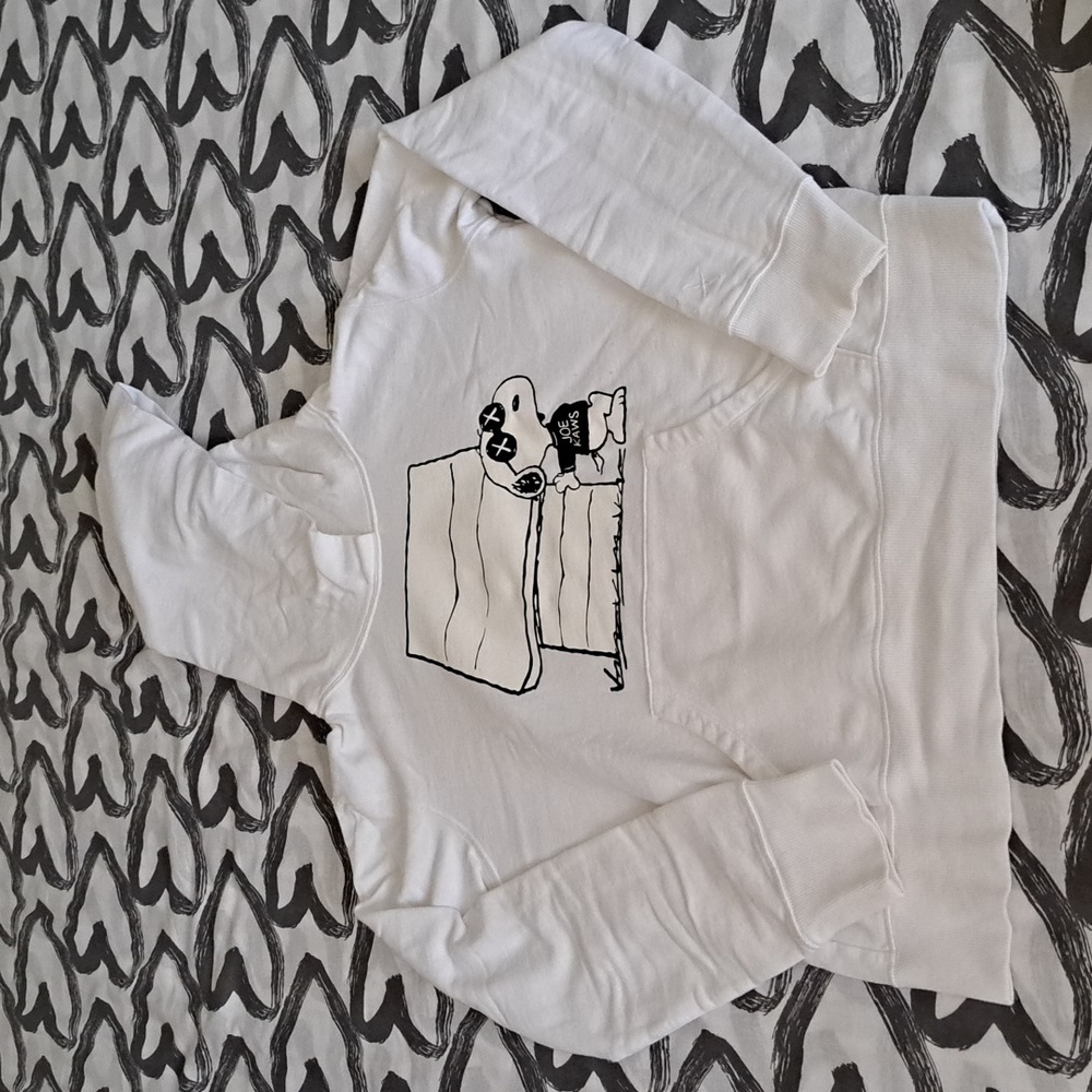 Kaws hoody